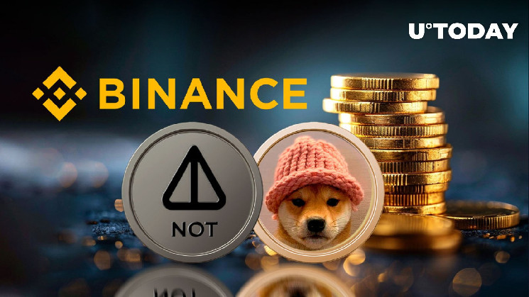 Binance Announces Major New Notcoin (NOT) and Dogwifhat (WIF) Listings