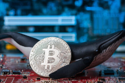 This Sleepy Bitcoin Whale Was Sitting on $61 Million—Now It's on the Move