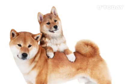 Shiba Inu (SHIB) and Dogecoin (DOGE) Now Owned by Major VR Gaming Platform