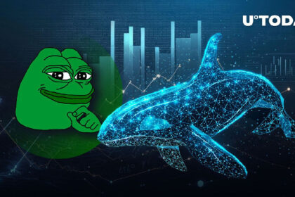 Major Pepe Whale Capitulates