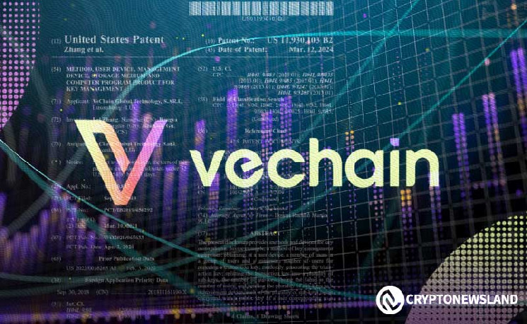 VeChain HiVe Summit and Nubila Networks Will Shine a Light Over DePIN and IoT Capabilities via Blockchain Power 