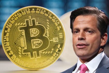 scaramucci y bitcoin