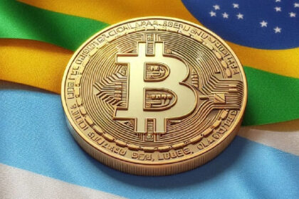 Argentina and Brazil in the Top Ten Of Countries With Most Cryptocurrency Ownership