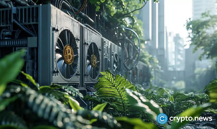 Crypto miner HIVE Digital to double revenue with 100MW center in Paraguay