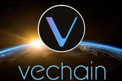 VeChain VeWorld Wallet Adds Apple Pay Support via Transak Integration