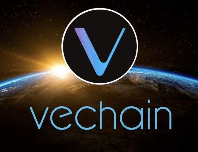 VeChain VeWorld Wallet Adds Apple Pay Support via Transak Integration