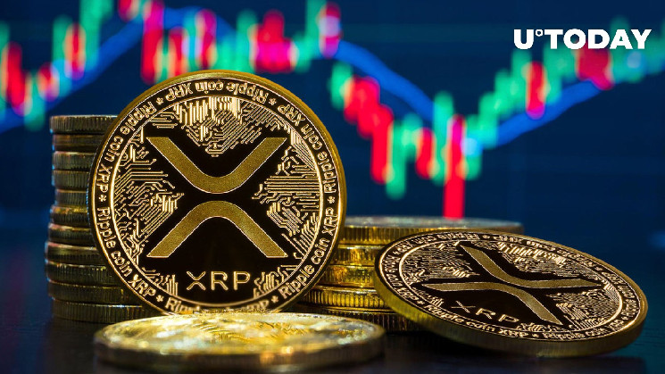 63 Million XRP in 24 Hours – Here's What's Happening