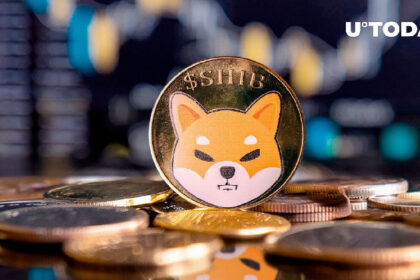 Shiba Inu Skyrockets 243% Yet SHIB Price Not Moving