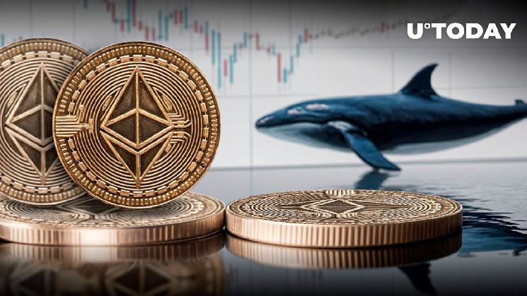 Ethereum Whales Buy $126 Million in ETH: Details