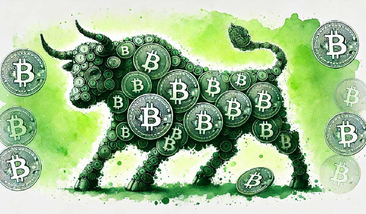 ‘This Is What BTC Bull Markets Are Made Of’ – On-Chain Analyst Says Indicator Flashing Bullish for Bitcoin