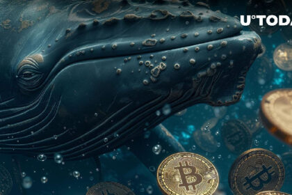 Dormant Bitcoin Whale Explodes to Life With Massive 63,946% Profit