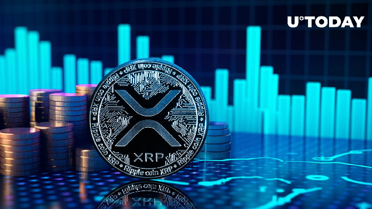 Over 46 Million XRP in 24 Hours, What's Going On?