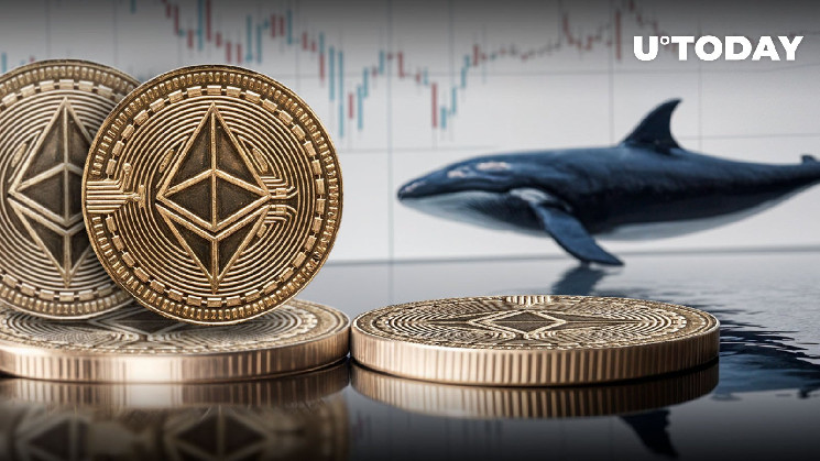 Ethereum (ETH) Free From Massive Sell-off From Top Whale