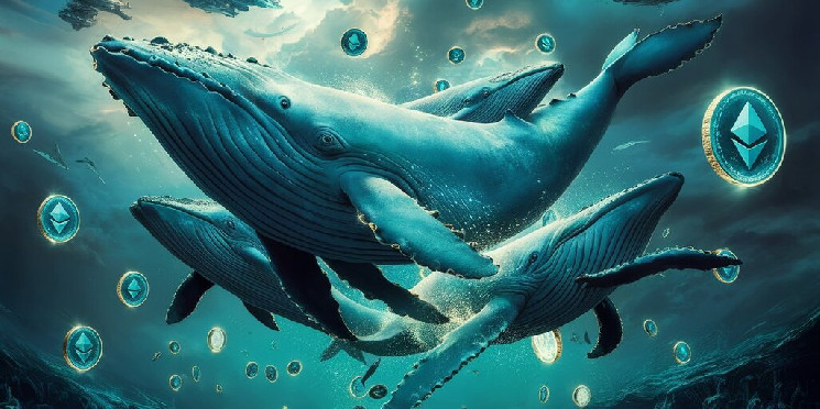 Ethereum ICO Era Whale Moves $24 Million to Kraken