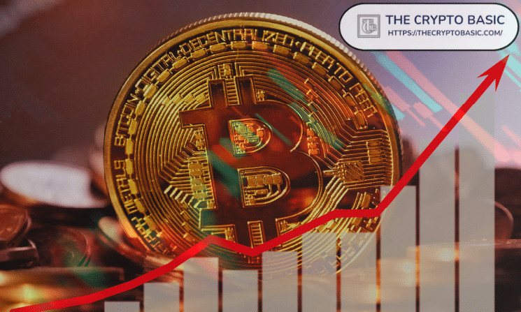 Market Expert Predicts Bitcoin to Exceed $400K Post 2024 Halving