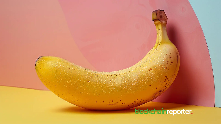 Trader Makes $1.5M Investment in $BANANA