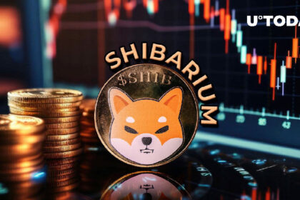 75% Drop in Key Metric Shocks Shiba Inu's Shibarium