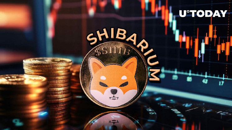 75% Drop in Key Metric Shocks Shiba Inu's Shibarium