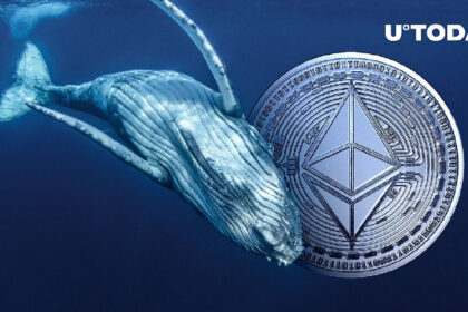 Large Ethereum Whale on Verge of Liquidation as ETH Bloodbath Deepens