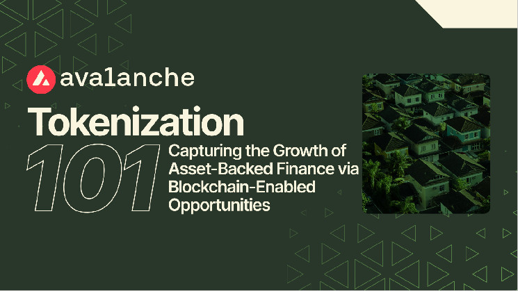 Capturing the Growth of Asset-Backed Finance via Blockchain-Enabled Opportunities