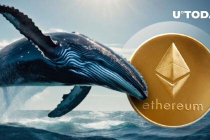 Ethereum (ETH) Whales Going Insanely Bullish: Details