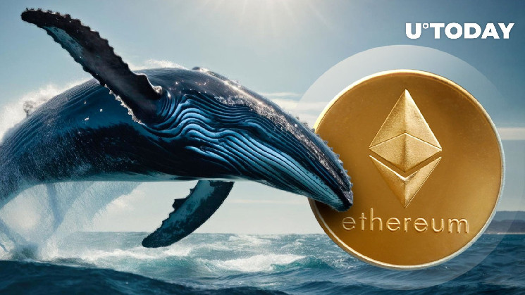 Ethereum (ETH) Whales Going Insanely Bullish: Details