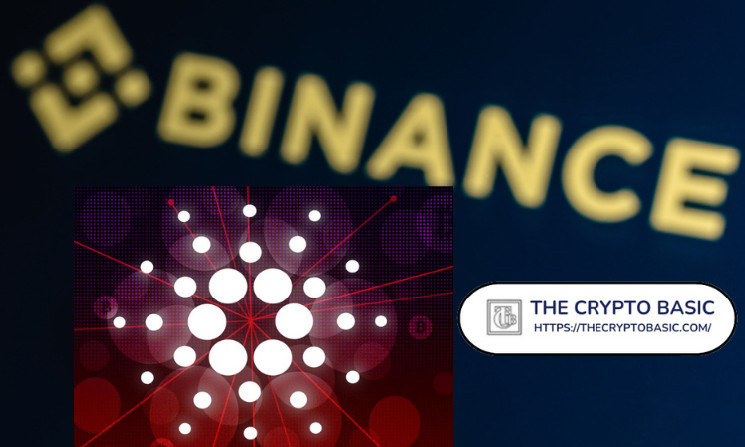 Binance Now Ready for Cardano Chang Hard Fork as Exchange Readiness Hits Critical Level