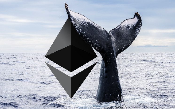 Whale Wallet That Bought ETH at $0.31 on Ethereum Wakes Up 9 Years Afterwards