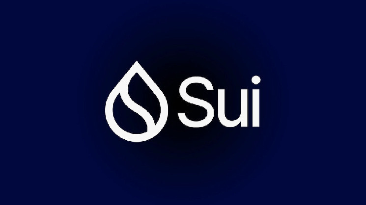 Sui Network Outpaces Major Blockchains with 2.14 Billion Transactions in 2024