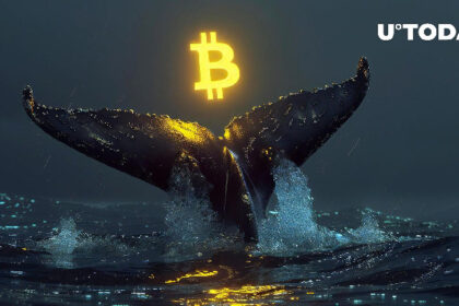 Bitcoin Whale Takes Massive Loss with Recent Sale