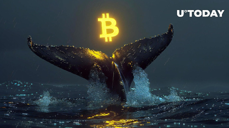 Bitcoin Whale Takes Massive Loss with Recent Sale