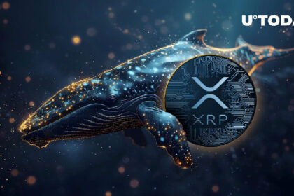 Mega XRP Whale Emerges After 99 Million Token Transfer