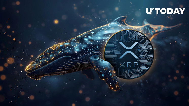 Mega XRP Whale Emerges After 99 Million Token Transfer