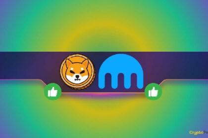 Good News for Shiba Inu (SHIB)? Major Exchange Extends Support