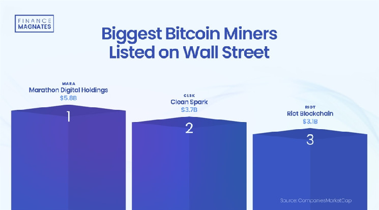 Ranking the Top 5 by Market Cap