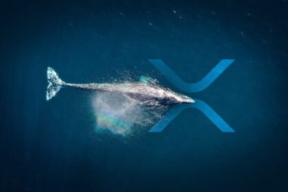 XRP Whales Prefer These Exchanges the Most! Here's Why!