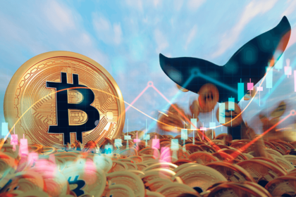 Bitcoin whales are taking advantage of strategic buying opportunities