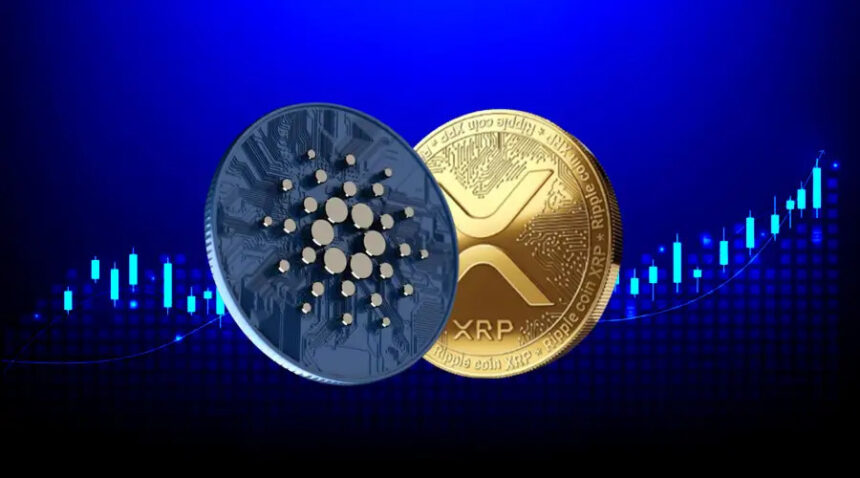 Ripple (XRP) or Cardano (ADA): Which Coin Will Hit $1 in January 2024?