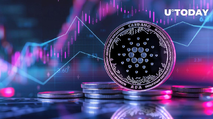 Cardano Network Skyrockets With $7.2 Billion On-Chain Volume