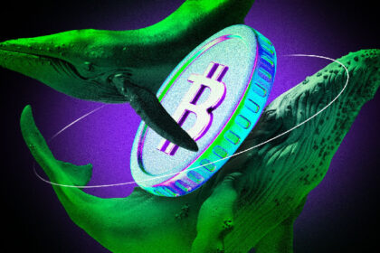 Bitcoin Whales HODL as New Signals Suggest Bull Cycle Is Not Over