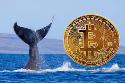 CryptoQuant Analysts Detect Decreasing Bitcoin Whale Assets, According to On-Chain Data!