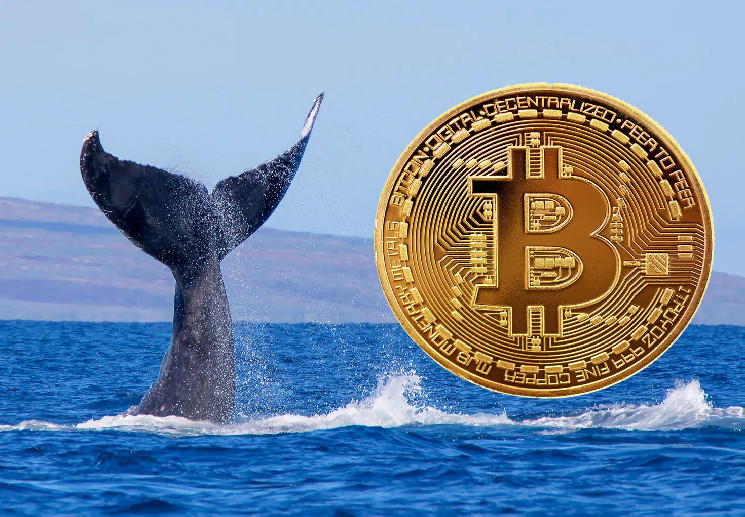 CryptoQuant Analysts Detect Decreasing Bitcoin Whale Assets, According to On-Chain Data!