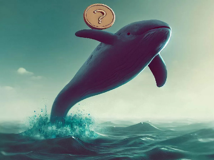 Cryptocurrency Whales Have Been Hoarding This Altcoin For Two Days