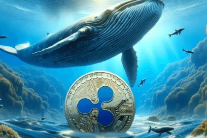 Whales Keep Buying XRP Amid Previous Market Dip: Time to Shine?