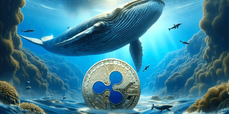 Whales Keep Buying XRP Amid Previous Market Dip: Time to Shine?