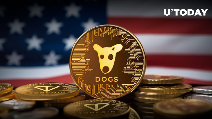 TON-Based Shiba Inu (SHIB) Rival Listed on Major US Exchange