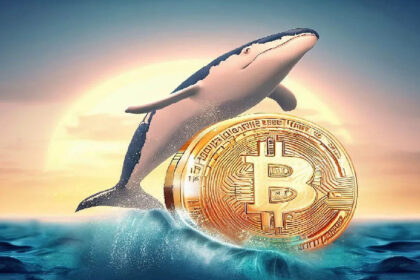 Giant Corporate Whale Who Bought Bitcoin at $4,000 Wakes Up and Makes a New Trade in a Surging Market