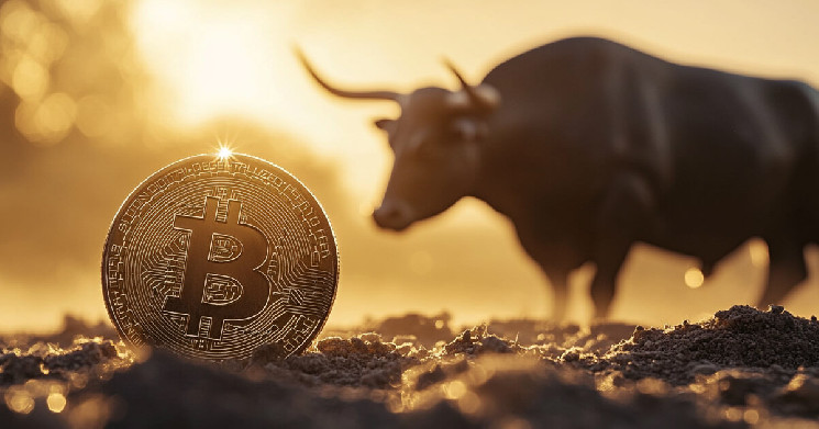 Bitwise CIO says Powell's remarks could spark a new Bitcoin bull run