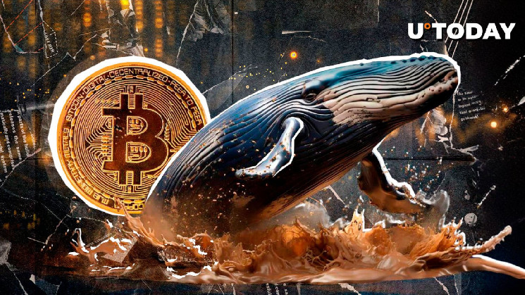 New Bitcoin Whale Stuns Binance With Staggering BTC Withdrawal