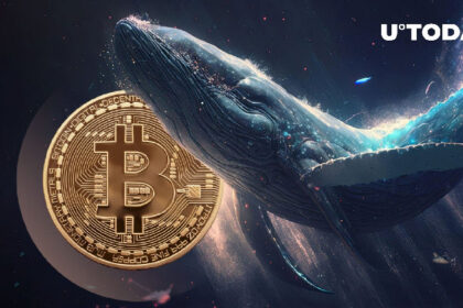 Thousands of Bitcoin Leave Binance in Mysterious Bull Whale Activity